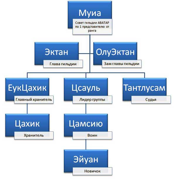 структура гильдии аватар